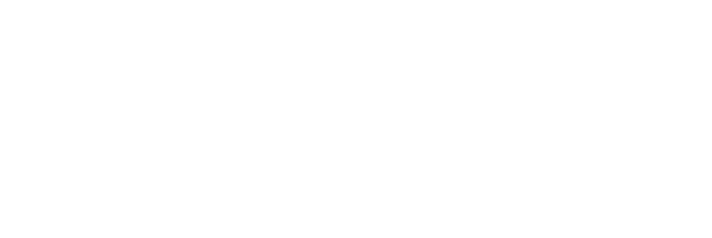 Liderum Group